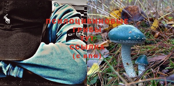 прущая мука Абинск