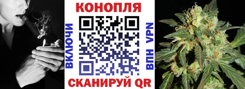 гидра tor  Пучеж  Бошки марихуана White Widow 